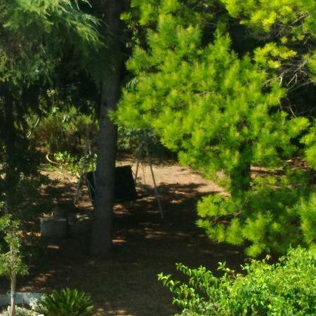 Paestum House B&B 외부 사진