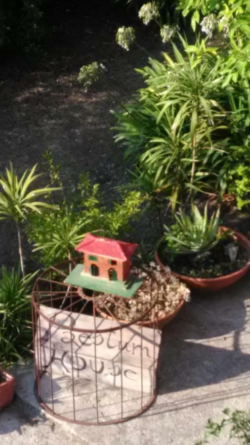 Paestum House B&B 외부 사진